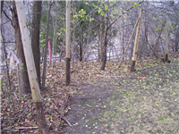 Fence Gallery Photo - Fence Removal 1.jpg
